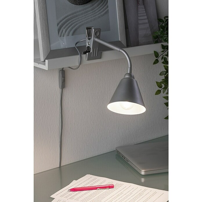 Paulmann Klemmleuchte Vitis (20 W, Grau, Höhe: 370 mm) | BAUHAUS