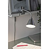 Paulmann Klemmleuchte Vitis (20 W, Grau, Höhe: 370 mm) | BAUHAUS