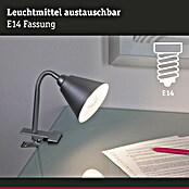 Paulmann Klemmleuchte Vitis (20 W, Grau, Höhe: 370 mm) | BAUHAUS