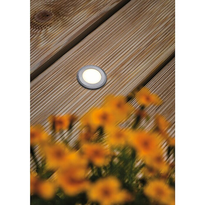Paulmann Vgradna talna svetilka  (2 W, Srebrna, 3.000 K, Okrogle oblike, Toplo bela) | Vgradni žarometi | Reflektorji in žarometi | Svetila | Elektro in svetila | Izdelki | BAUHAUS