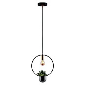 Paulmann Neordic Pendelleuchte Tasja (Ø x H: 12 x 110 cm, 20 W, Schwarz/Kupfer, E27) | BAUHAUS
