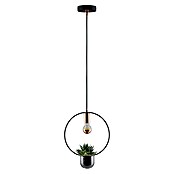 Paulmann Neordic Pendelleuchte Tasja (Ø x H: 12 x 110 cm, 20 W, Schwarz/Kupfer, E27) | BAUHAUS