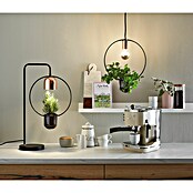 Paulmann Neordic Pendelleuchte Tasja (Ø x H: 12 x 110 cm, 20 W, Schwarz/Kupfer, E27) | BAUHAUS