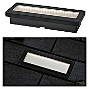 Paulmann Bodeneinbauleuchte Domenic (L x B x H: 8 x 20 x 3,7 cm, Rechteckig, 0,1 W, IP67, Schwarz) | BAUHAUS