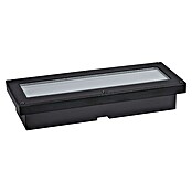 Paulmann Bodeneinbauleuchte Domenic (L x B x H: 8 x 20 x 3,7 cm, Rechteckig, 0,1 W, IP67, Schwarz) | BAUHAUS