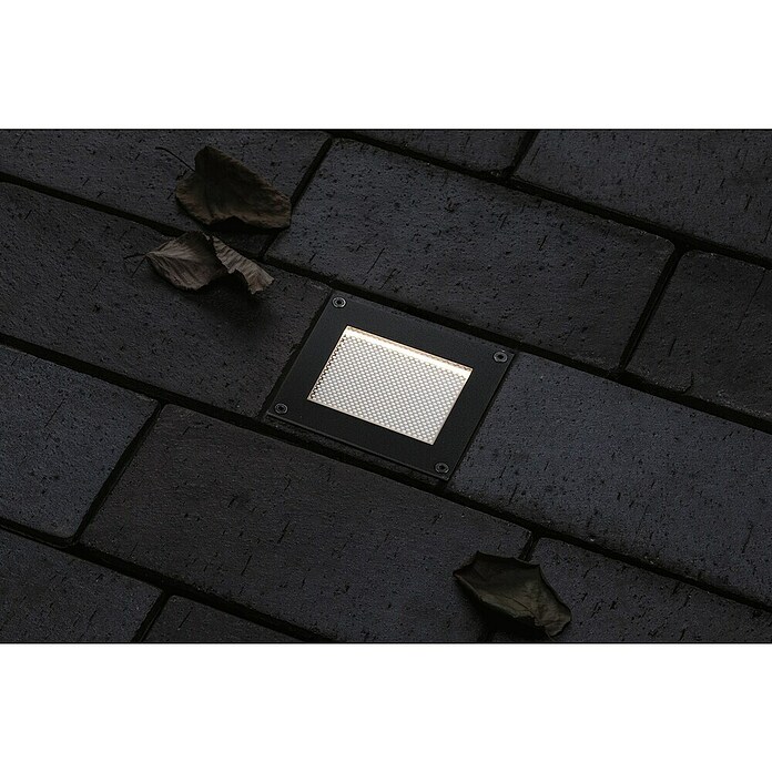 Paulmann Bodeneinbauleuchte Domenic (L x B x H: 8 x 8 x 3,7 cm, Quadratisch, 0,1 W, IP67, Schwarz) | BAUHAUS