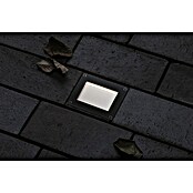 Paulmann Bodeneinbauleuchte Domenic (L x B x H: 8 x 8 x 3,7 cm, Quadratisch, 0,1 W, IP67, Schwarz) | BAUHAUS