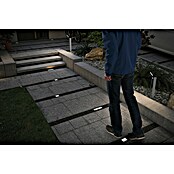 Paulmann Bodeneinbauleuchte Domenic (L x B x H: 8 x 8 x 3,7 cm, Quadratisch, 0,1 W, IP67, Schwarz) | BAUHAUS