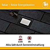Paulmann Bodeneinbauleuchte Domenic (L x B x H: 8 x 8 x 3,7 cm, Quadratisch, 0,1 W, IP67, Schwarz) | BAUHAUS