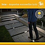 Paulmann Bodeneinbauleuchte Domenic (L x B x H: 8 x 8 x 3,7 cm, Quadratisch, 0,1 W, IP67, Schwarz) | BAUHAUS