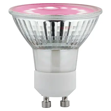 Paulmann  LED-Lampe Pflanzenlampe Grow Green