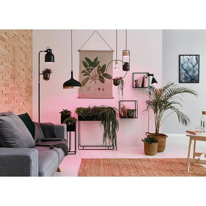 Paulmann LED-Lampe Pflanzenlampe Grow Green - GU10, 2,4 W, 95 lm, Warmweiß - Wohnzimmer mit grauem Sofa, Pflanzen und Hängelampen, die eine gemütliche und stilvolle Atmosphäre schaffen.