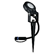 Paulmann Plug & Shine Basis-Set Sting (6,3 W, Erdspieß, IP67, 2 200 K) | BAUHAUS