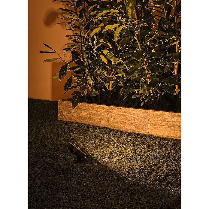 Paulmann Plug & Shine Basis-Set Sting (6,3 W, Erdspieß, IP67, 2 200 K) | BAUHAUS