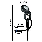 Paulmann Plug & Shine Basis-Set Sting (6,3 W, Erdspieß, IP67, 2 200 K) | BAUHAUS