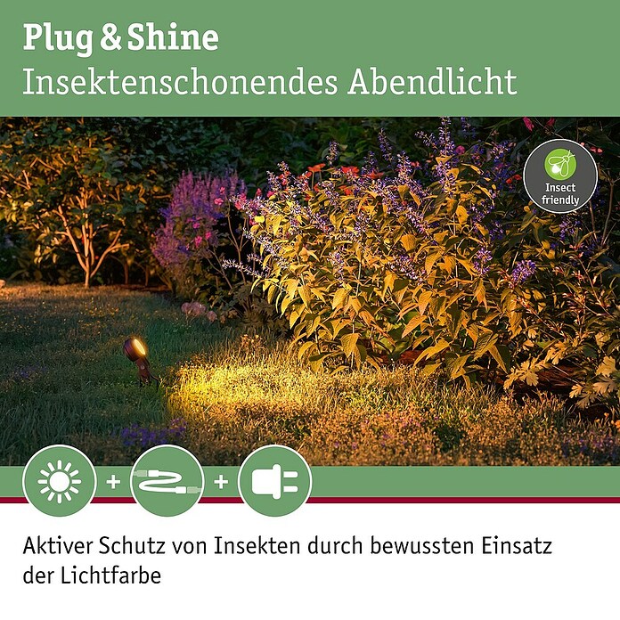Paulmann Plug & Shine Basis-Set Sting (6,3 W, Erdspieß, IP67, 2 200 K) | BAUHAUS