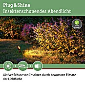 Paulmann Plug & Shine Basis-Set Sting (6,3 W, Erdspieß, IP67, 2 200 K) | BAUHAUS