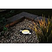 Paulmann Plug & Shine Foco para empotrar en suelo (4,6 W, Ø x Al: 9,8 x 9,5 cm) | BAUHAUS