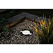 Paulmann Plug & Shine Foco para empotrar en suelo (4,6 W, Ø x Al: 9,8 x 9,5 cm) | BAUHAUS