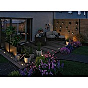 Paulmann Plug & Shine Foco para empotrar en suelo (4,6 W, Ø x Al: 9,8 x 9,5 cm) | BAUHAUS