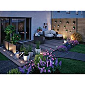 Paulmann Plug & Shine Foco para empotrar en suelo (4,6 W, Ø x Al: 9,8 x 9,5 cm) | BAUHAUS
