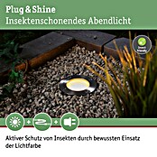 Paulmann Plug & Shine Bodeneinbauleuchte Floor CCT (4,6 W, Schwarz, Ø x H: 9,8 x 9,5 cm) | BAUHAUS