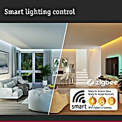 Paulmann Plug & Shine Aplique para exterior LED (5,5 W, RGBW, IP44, Temperatura del color: 3.000 K) | BAUHAUS