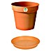 Elho Green Basics Maceta para planta + plato redondo 