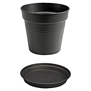 Elho Green Basics Maceta para planta + plato redondo (Dimensiones externas (Ø x Al): 11 x 10 cm, Plástico, Negro)