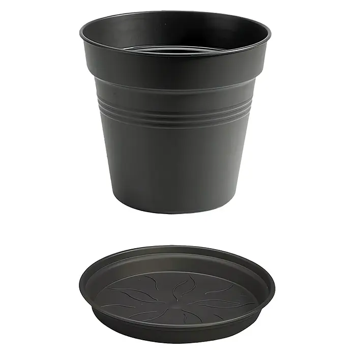 Elho Green Basics Maceta para planta + plato redondo - Dimensiones externas (Ø x Al): 13 x 12 cm, Plástico, Negro - Maceta de plástico negra con plato a juego. Ideal para plantas de interior y exterior. Resistente y duradera.