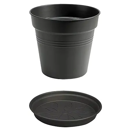 Elho Green Basics Maceta para planta + plato redondo