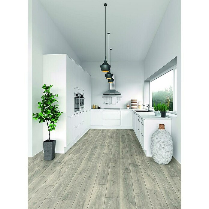 LOGOCLIC Aquaprotect Laminado Roble Silverdale (1.288 x 195 x 8 mm, Roble Silverdale, AC4, Resistente al agua) | BAUHAUS