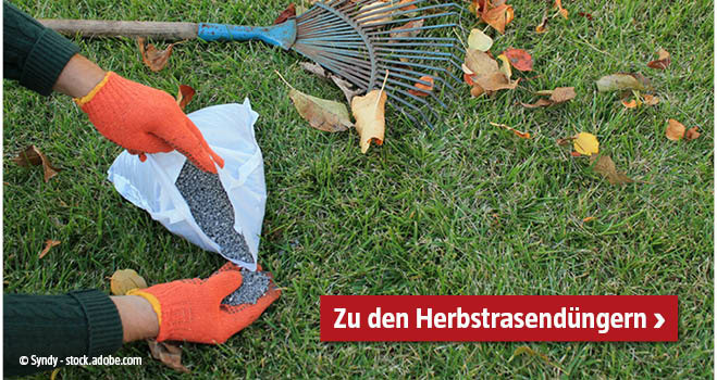 Herbstrasendünger