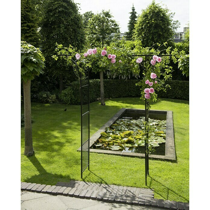 Nature Rosenbogen (114 x 66 x 232 cm, Schwarz)