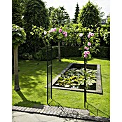 Nature Rosenbogen (114 x 66 x 232 cm, Schwarz)