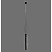 Just Light Lámpara colgante LED recargable Attach (3 W, Negro, Blanco cálido) | BAUHAUS