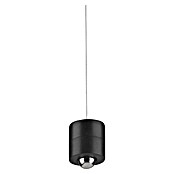 Just Light Lámpara colgante LED recargable Attach (3 W, Negro, Blanco cálido) | BAUHAUS