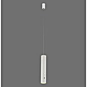 Just Light Lámpara colgante LED recargable Attach (3 W, Blanco, Blanco cálido) | BAUHAUS