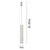 Just Light Led-pendellamp op accu Attach (3 W, Wit, Warm wit) | BAUHAUS