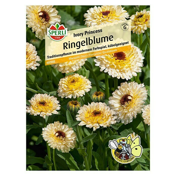 Sperli Blumensamen Ringelblume (Ivory Princess, Calendula officinalis 'Ivory Princess', Gelb) | BAUHAUS