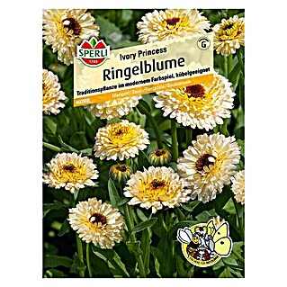 Sperli Blumensamen Ringelblume (Ivory Princess, Calendula officinalis 'Ivory Princess', Gelb)