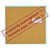 Mosaikfliese Quadrat Uni GM A 33P (L x B: 32,7 x 30,5 cm, Hellblau, Glänzend) | BAUHAUS