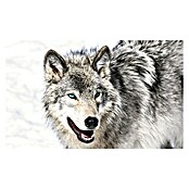 Fototapete Wolf-Tier (368 x 254 cm, Vlies)