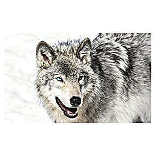 Fototapete Wolf-Tier (B x H: 254 x 184 cm, Papier)