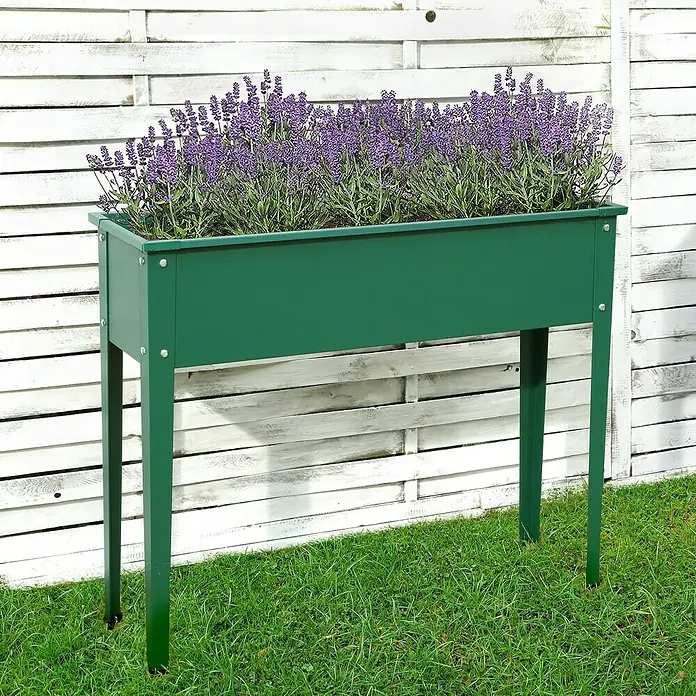 Floraworld Hochbeet - 80 x 100 x 30 cm, Metall, Grün - Das Bild zeigt einen grünen Pflanzkasten auf Beinen mit Lavendelblüten vor einem weißen Holzzaun im Garten. Der Pflanzkasten ist rechteckig.