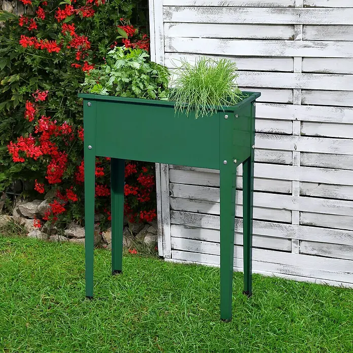 Floraworld Hochbeet - 80 x 60 x 30 cm, Metall, Grün - Grüner Pflanzkasten mit Kräutern und Blumen auf dem Rasen vor einer weißen Holzwand. Ideal für Garten, Balkon oder Terrasse.