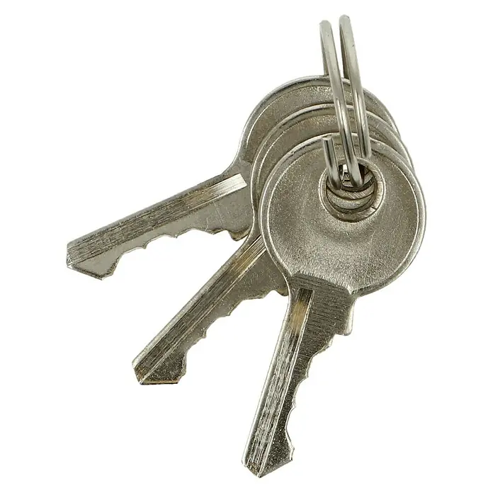 Stabilit Vorhängeschloss - Breite: 25 mm, Material Bügel: Stahl - Schlüsselbund mit drei silbernen Schlüsseln am Schlüsselring.