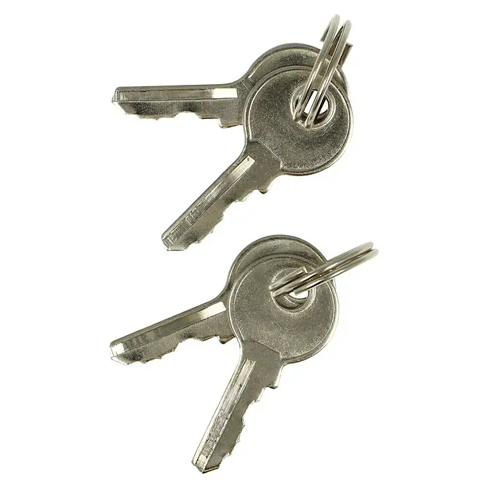 Stabilit Vorhängeschloss-Set - 2 Stk., Breite: 20 mm, Stahl - Nahaufnahme von zwei silbernen Hausschlüsseln, die an einem Schlüsselring befestigt sind, vor einem schwarzen Hintergrund.