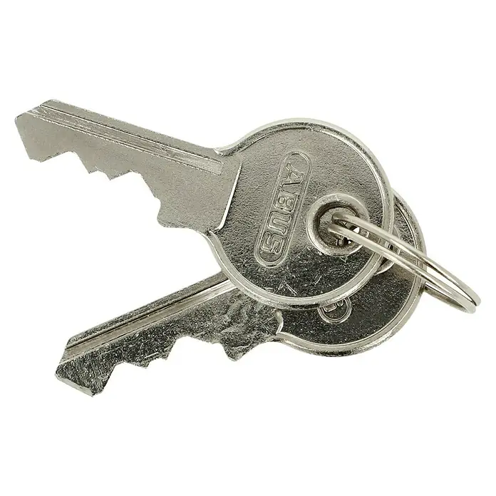 Abus Überfalle mit Vorhangschloss 100/100 Überfalle + 54TI140 B - Bügelinnenhöhe: 21 mm - Zwei silberne ABUS-Schlüssel an einem Schlüsselring, perfekt für Sicherheit und Schutz Ihrer Wertgegenstände.