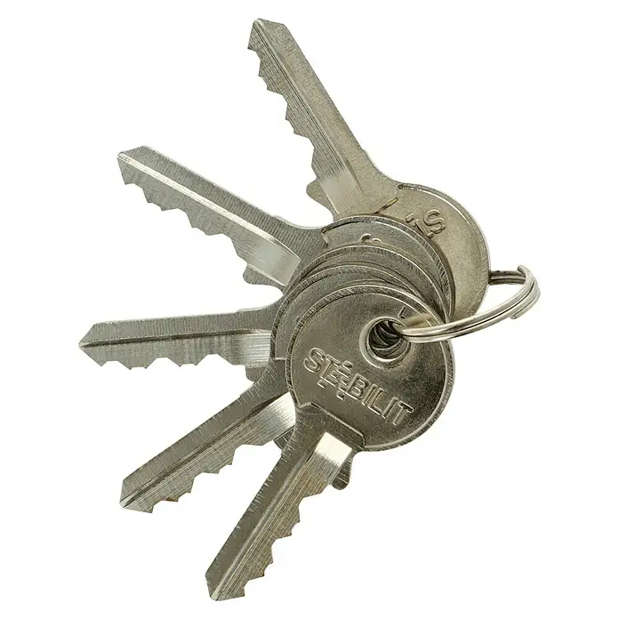 Stabilit Vorhängeschloss-Set A40-2 Gleichschließend - 2 Stk., Breite: 40 mm - Ein Schlüsselbund von "Stabilit" mit mehreren Schlüsseln an einem Schlüsselring. Die Schlüssel sind silbern und haben gezackte Kanten.